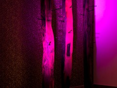 IMG_7466