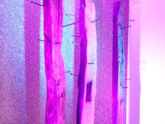 IMG_7475