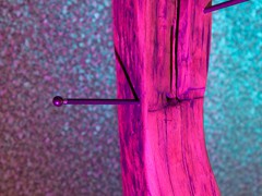 IMG_7477