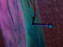 IMG_7537