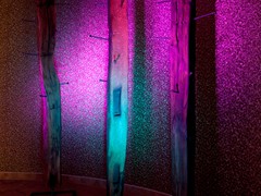 IMG_7552