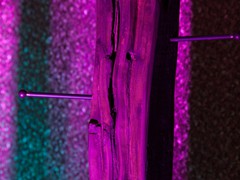 IMG_7556