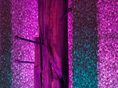 IMG_7561