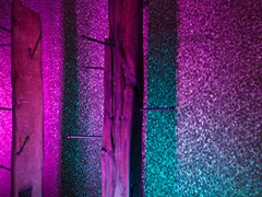 IMG_7563