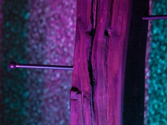 IMG_7571