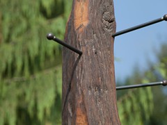 IMG_7585
