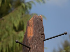 IMG_7586