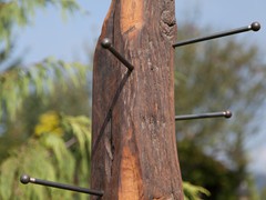 IMG_7600