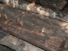 IMG_7638