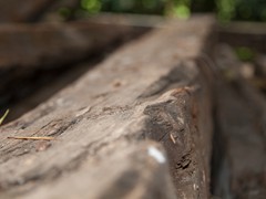 IMG_7645