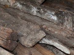IMG_7653